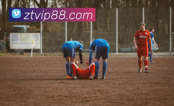 App Interface Preview